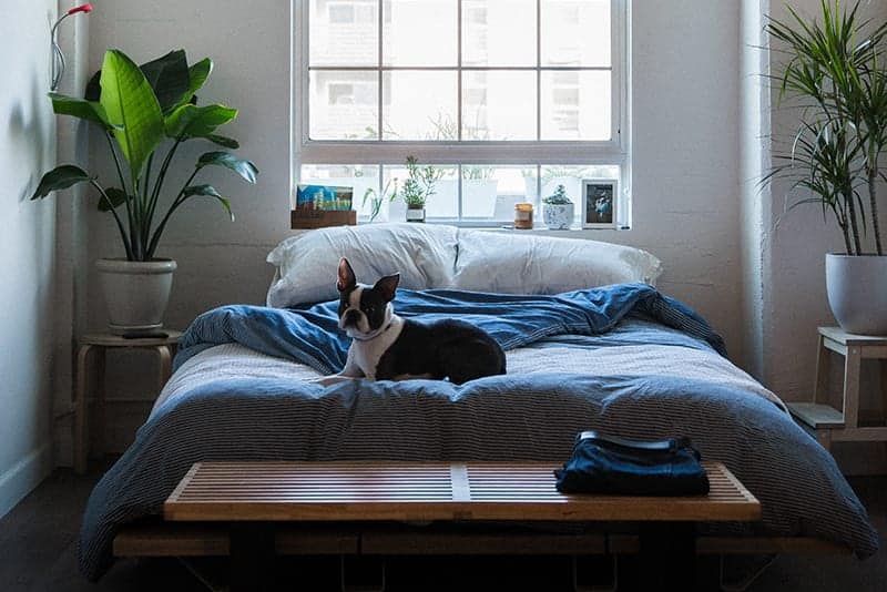 Halloween Sleep Tip # 2 - Make your room quiet Halloween Sleep Tip # 2 - Make your room quiet