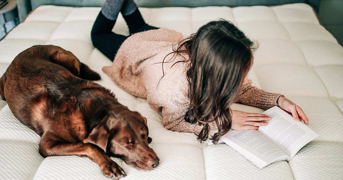 Better Sleep Career Better Sleep Career