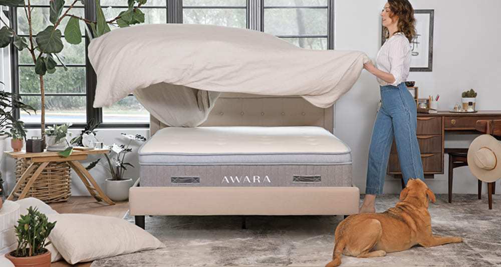 Latex Mattress Everything You Need To Know in 2021 DreamCloud