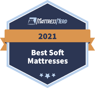 Awards 20 TSJ Best Badge v4 nerd