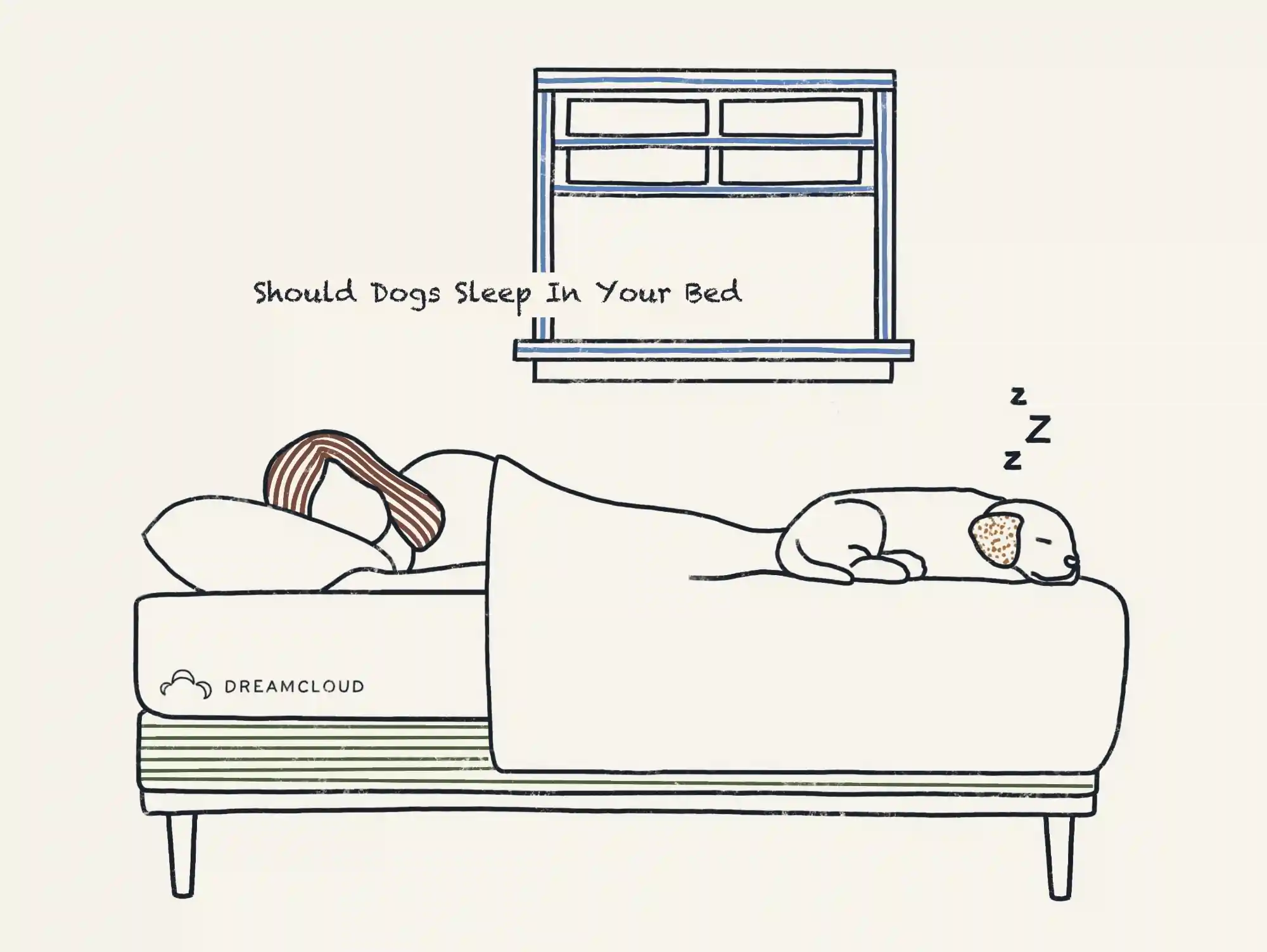 illustration of should dogs sleep in your bed