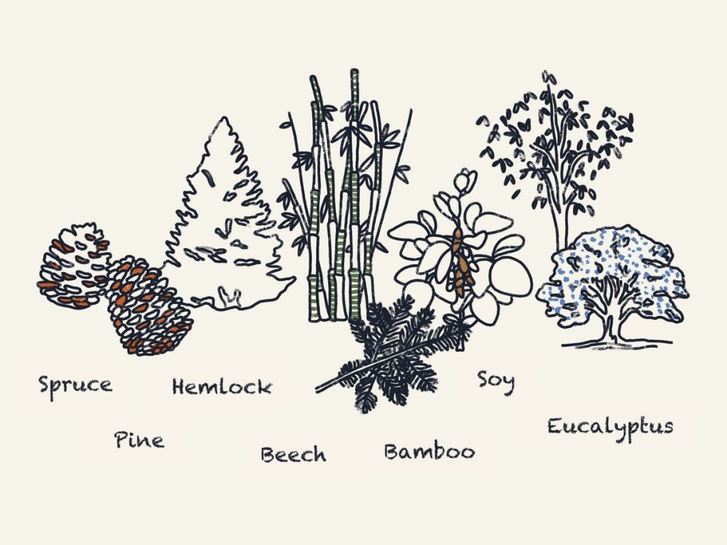 What Is Viscose? DreamCloud