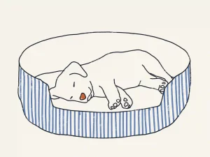 Illustration of Side Sleeper-Dog Sleeping Positions