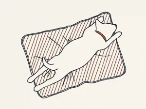 Illustration of Superman-Dog Sleeping Positions