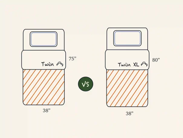 <span class=‘speak-headline’> Twin vs Twin XL Size Mattress: What Is The Difference?  </span> 
