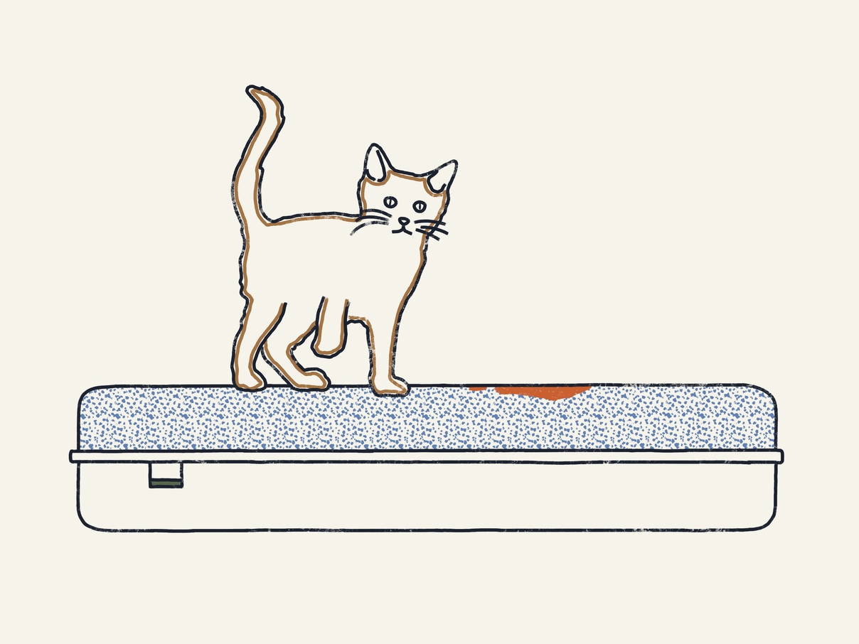 Illustration Of Cat Pee On Mattress