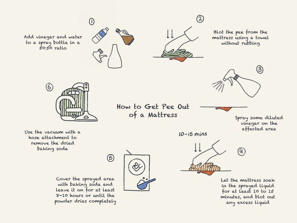 How To Get Pee Out Of A Mattress DreamCloud