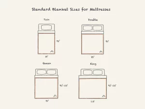 illustration of standard blanket sizes or mattresses