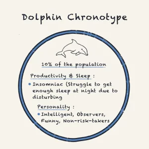 dolphin chronotype