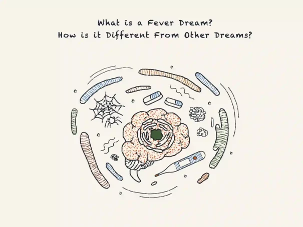 What is a Fever Dream? How is it Different From Other Dreams?
