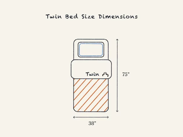 Twin Bed Size & Dimensions: Twin Size Mattress Buying Guide

